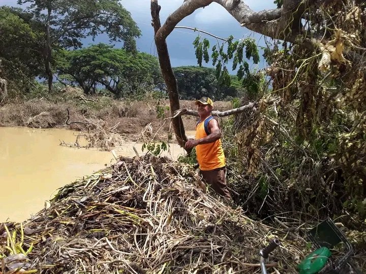 acebo_lester's tweet photo. Continúan las labores de higienización en #Yara #ProvinciaGranma, esta vez en el puente que comunica a la cabecera con la Comunidad José Martí. https://t.co/wmD3cKZ9gn