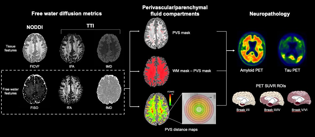 🌟 Congrats to our new faculty member @kirstenmlynch for winning a magna cum laude merit award from @ISMRM for her talk: #Alzheimers disease neuropathology contributes to perivascular and parenchymal free water diffusion characteristics 🧠