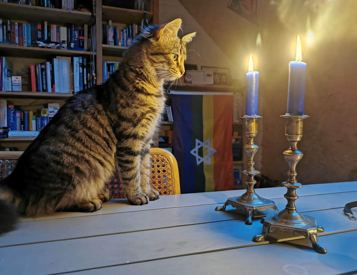PRIDE CAT now with 100% more Shabbat candles!

(Capucine - Photo by Samuel Jonckheere, from last year's Jewish Cat Calendar)