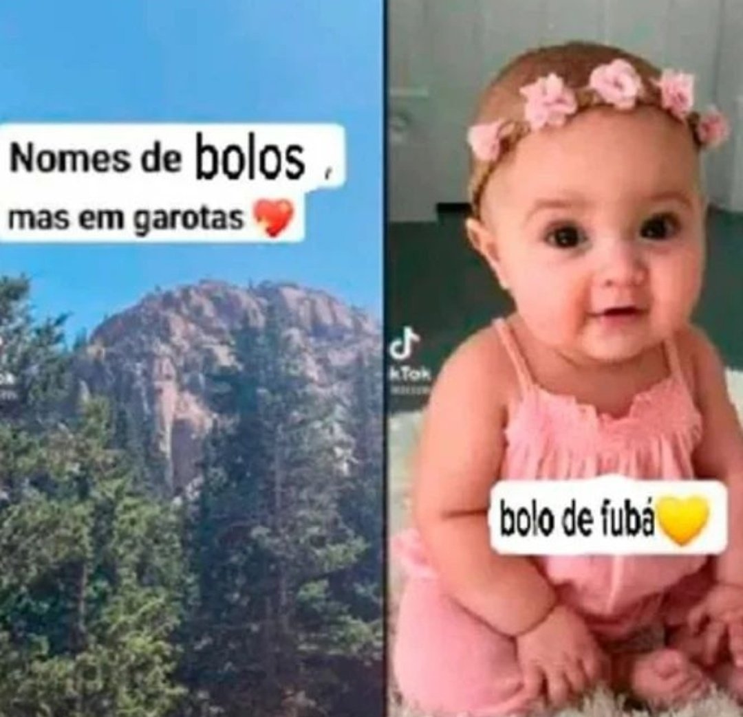 shitpostverdade's tweet photo. https://t.co/3zepY7ZVOy