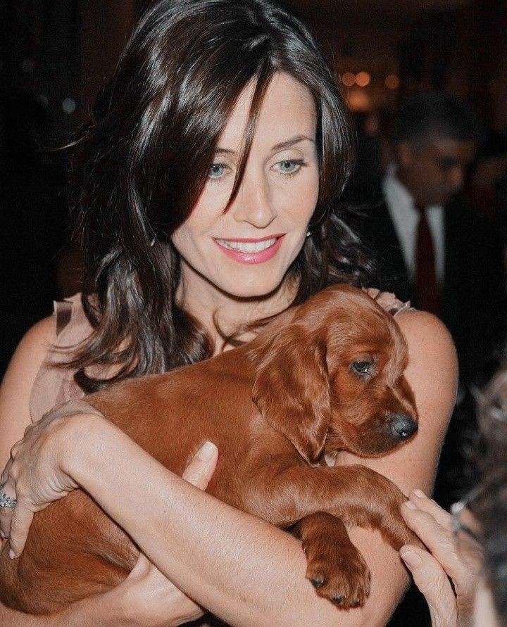 no context monica geller tweet media