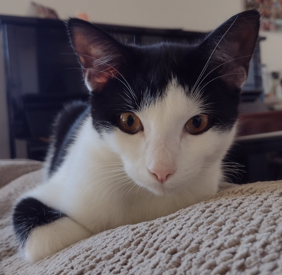 Callula Killingly tweet media