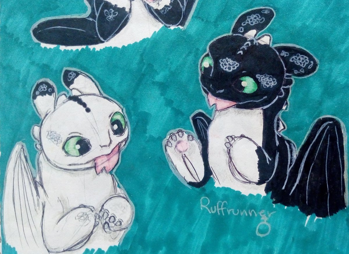 daan_daydreamin's tweet photo. This is why i like to look through my past sketchbooks, sometimes there's good drawings that still surprises me. 🙃

#httyd #howtotrainyourdragon #httyd3 #thehiddenworld #nightlights #nightfury #lightfury #httydthw https://t.co/lbO8QB3LWt