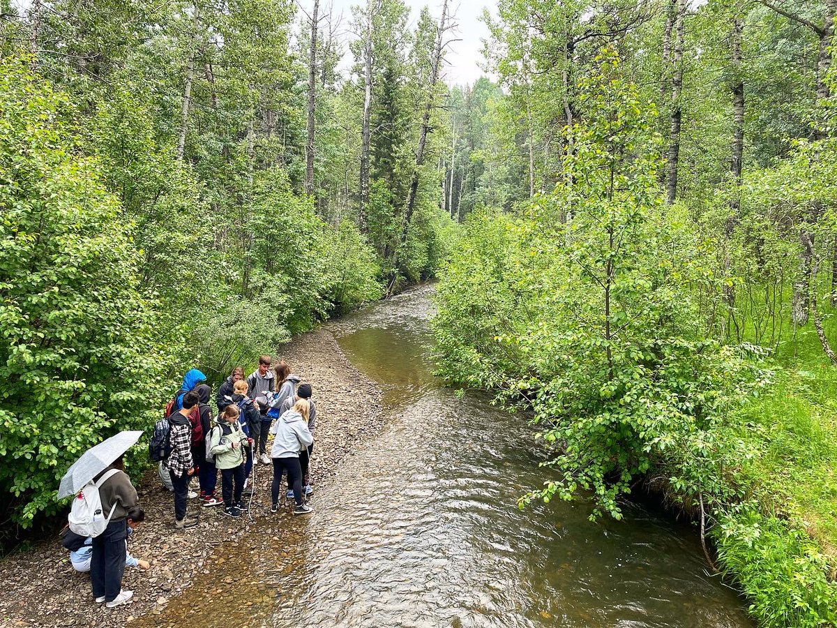 Tyler Dixon tweet media