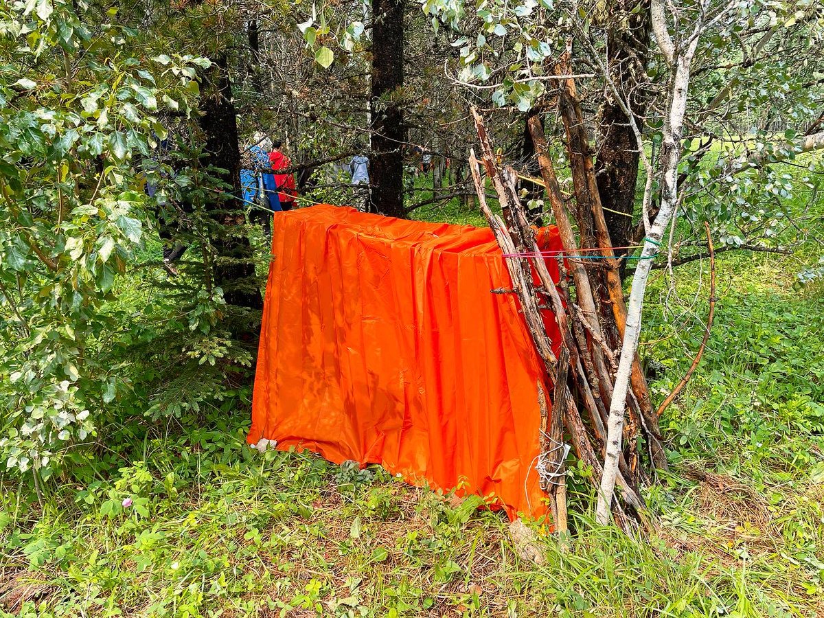 Tyler Dixon tweet media