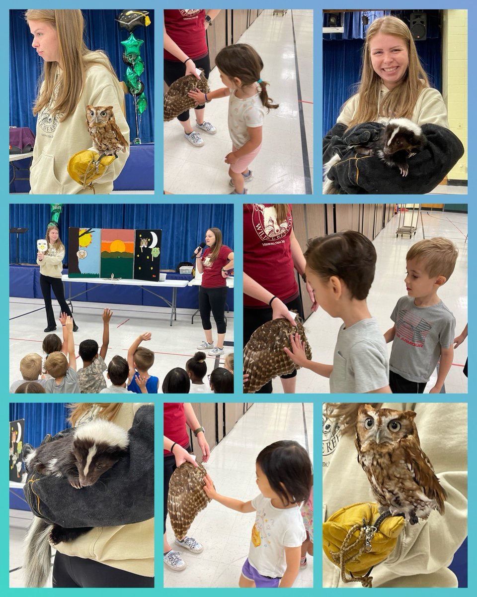 Thank you to @Countryside_PTO for bringing such an amazing & informative assembly to us today! 

We enjoyed learning about the awesome animals that @CedarRunRefuge brought to share with us! And we loved being able to touch the Barn Owl 🦉 feathers! 

#Kindergarten #bozzisbunch