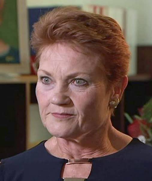 Pauline Hanson’s One Nation Party has been listed as one of 20 established and emerging hate groups in Australia, by the Global Project Against Hate and Extremism (GPAHE), a global extremism think tank, for PHON’s track record on anti-multiculturalism, white nationalism, and