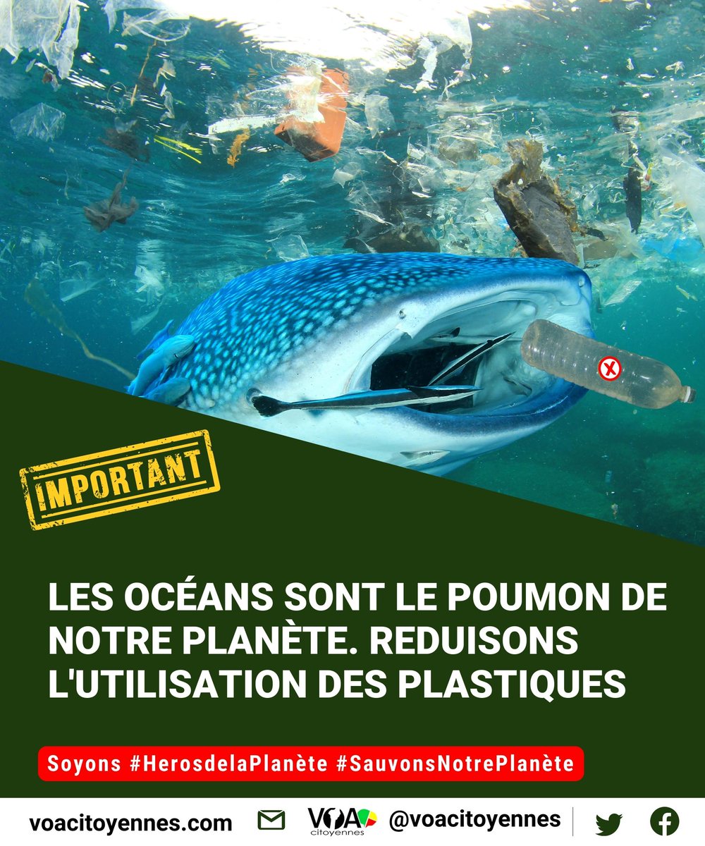 🌊 Les océans abritent une biodiversité extraordinaire et sont essentiels à notre survie. Réduisons l'utilisation des sachets plastiques pour les protéger !
#HerosDeLaPlanete, privilégions les alternatives durables.
Agissons pour des océans plus propres ! 🐠🌍 #NonAuxPlastiques