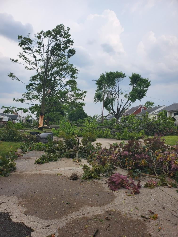 Kelly Dobeck ☀️ on Twitter "RT CoreyGerkenWX Damage from a likely