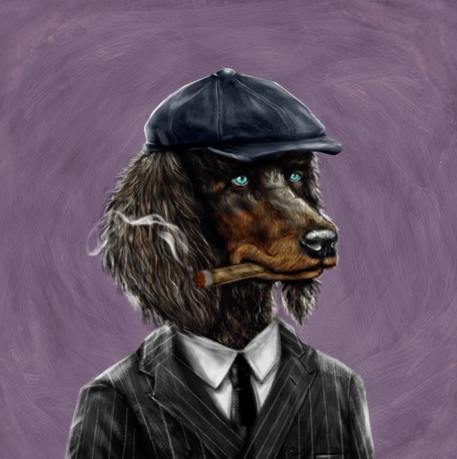 $defifomofo 🧫🧠 tweet media