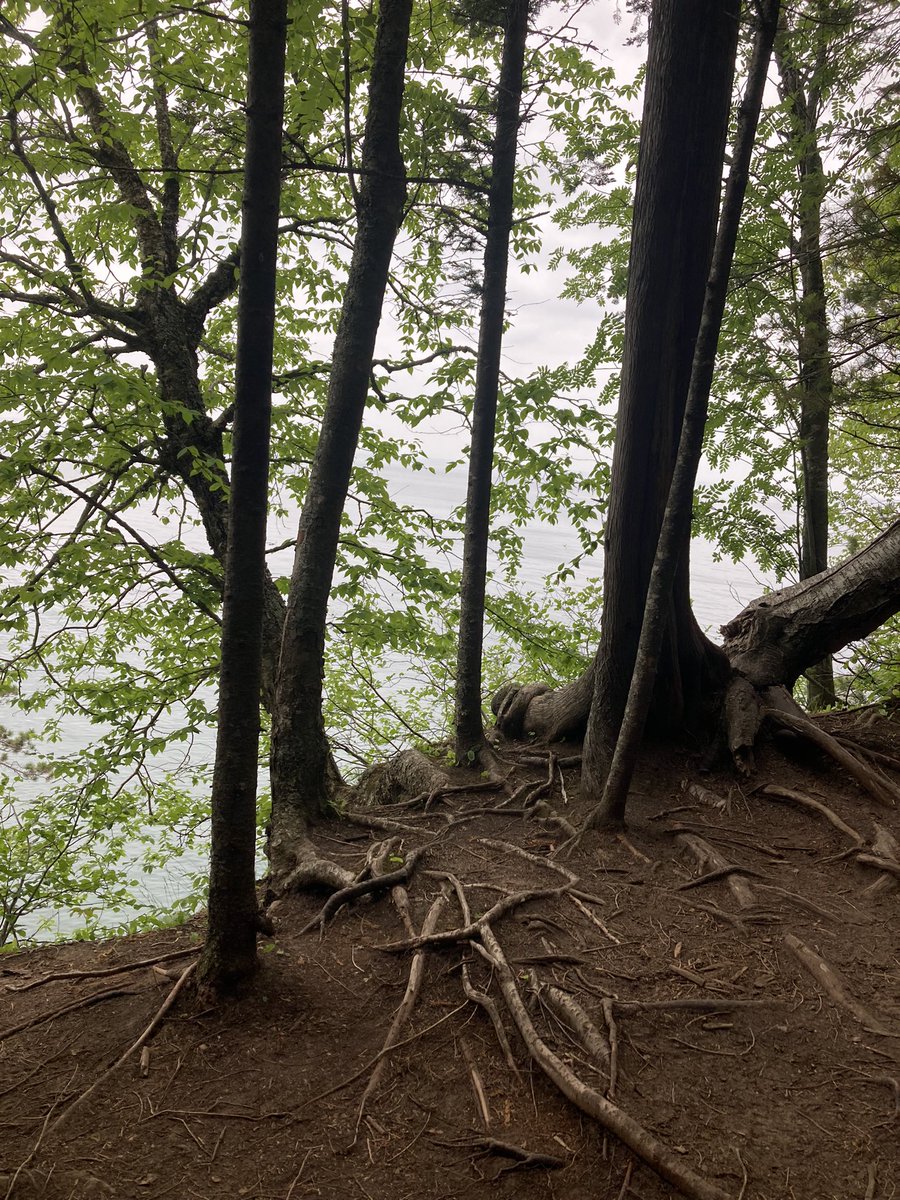 Reflecting on the past school year with Joe, nature, and reverence for all of those working in education. I see, hear, and honor you all!