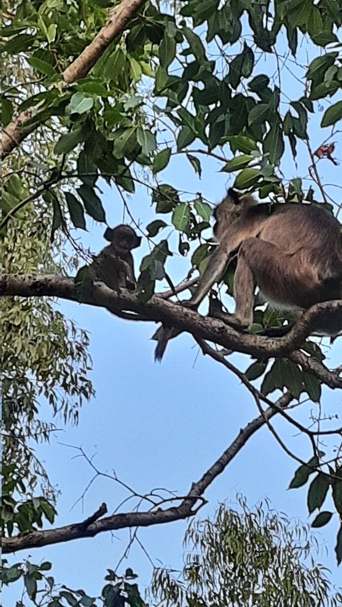 The kid is watching 😍