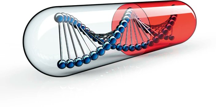 Cormac_Sheridan's tweet photo. Why gene therapies must go virus-free: Why is #genetherapy so costly when #mRNA #vaccines are so cheap? Non-viral delivery of mRNA to the cytoplasm is now routine; non-viral delivery of DNA to the nucleus isn't - but may soon be. Just out in @NatureBiotech https://t.co/Oniru5135e https://t.co/ovJpTs3ddd
