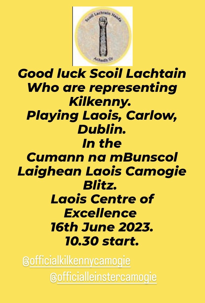 Stlachtainscamogie (@st_lachtains) on Twitter photo 