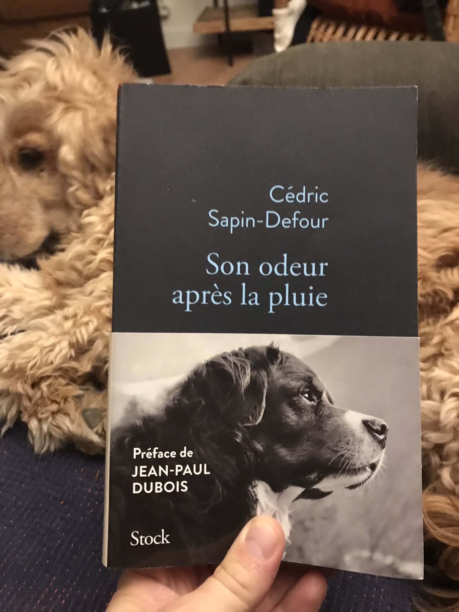 Arnaque sur  : Son odeur après la pluie falsifié (avec d'autres  best-sellers)