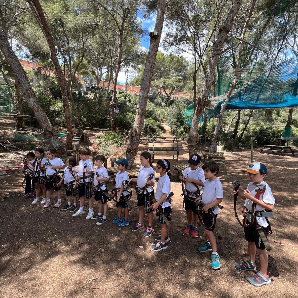 Col·legi Cami tweet media