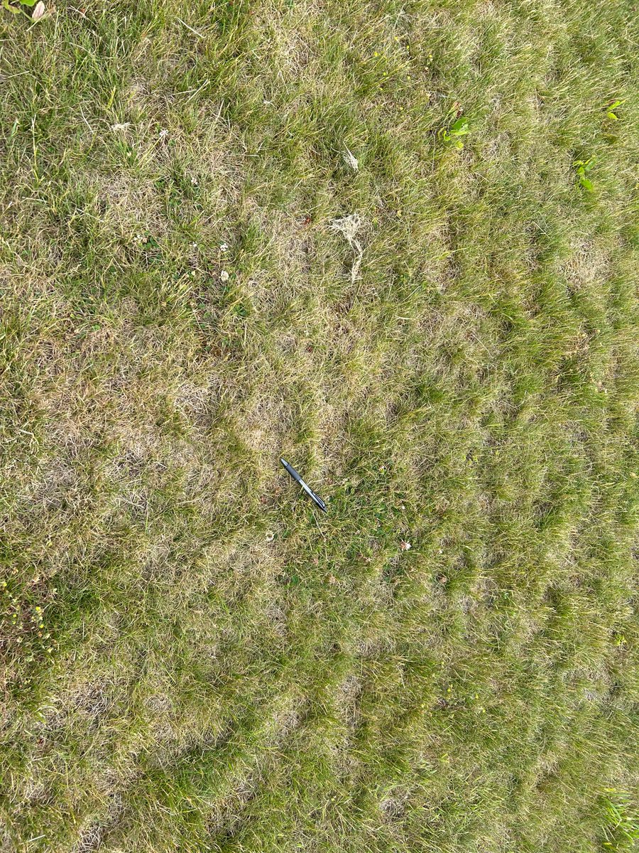 PBI-Gordon Turf Experts tweet media