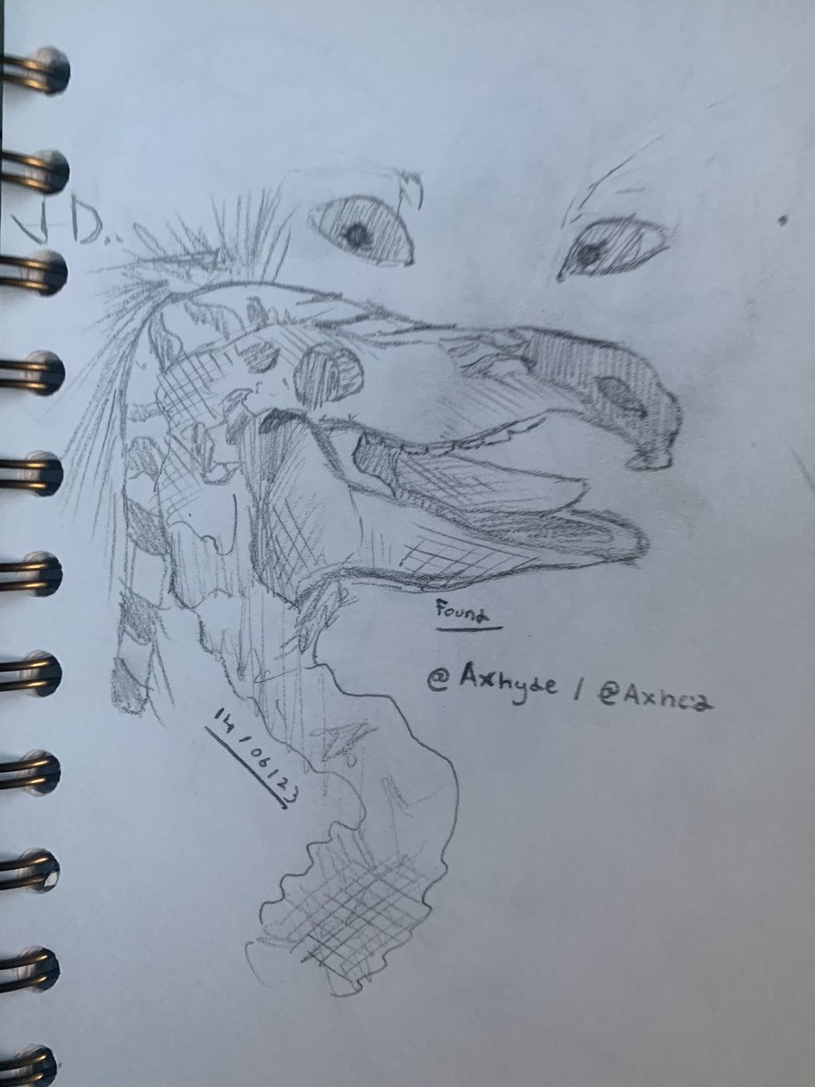 Axhyde's tweet photo. TW: GORE, ANIMAL SKULL ~ Found https://t.co/Hd4QKGatkX