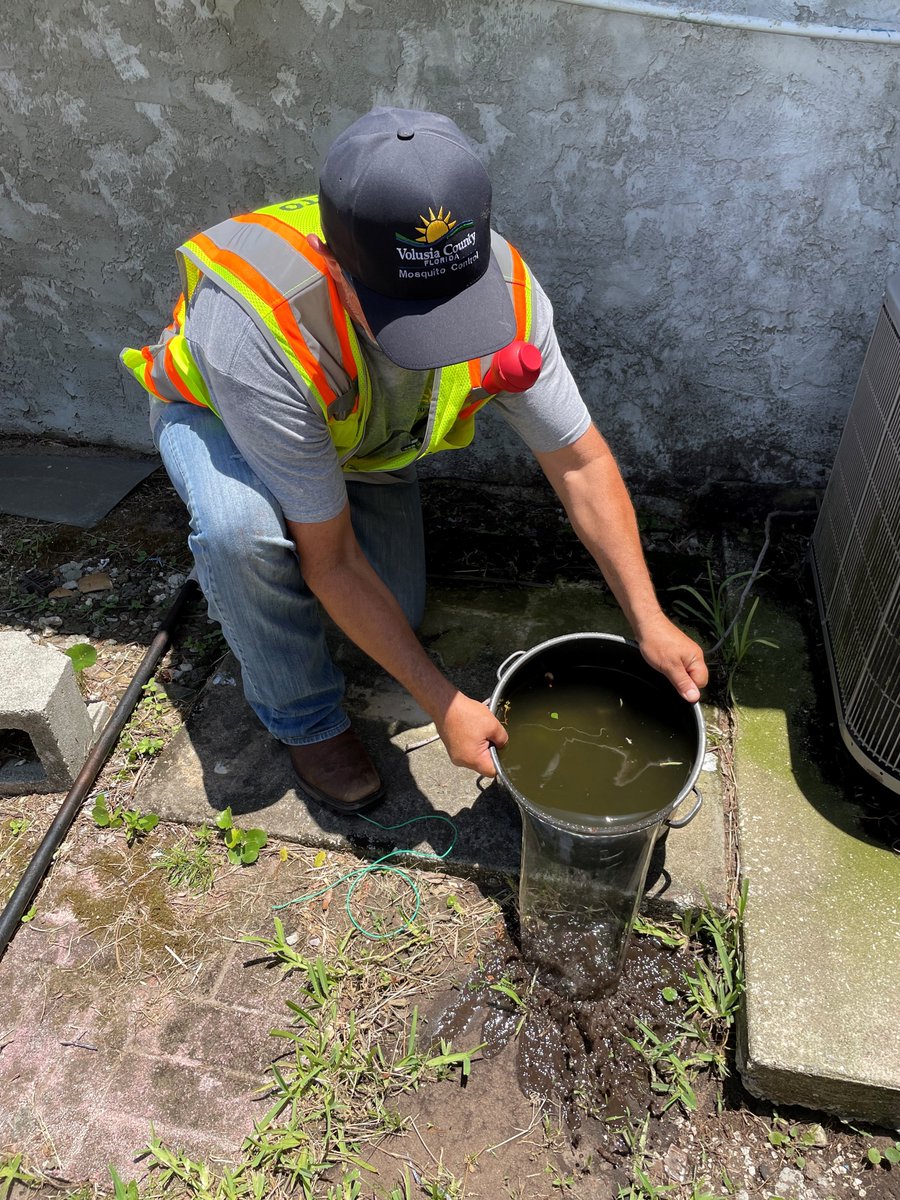 VCMosquito's tweet photo. ❗️Tip N Toss Alert❗️
Surveillance data from field inspectors & traps show an increase in container mosquitoes. These skeeters prefer containers that hold water such as planters, buckets, watering cans, kid toys, tarps, etc.
Help reduce mosquitoes using the #TipNToss method! https://t.co/IxtqpWl3oH