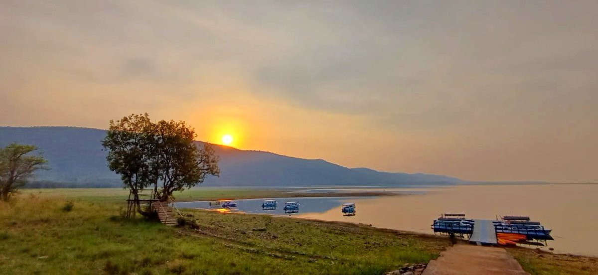 Sunset view from Nature Camp @Debrigarh
📱 9438113285 
📸 Iswara Sahu
#Bargarh
#DebrigarhNatureCamp
ecotourodisha.com
#CommunityEcotourismOdisha
#JungleSafari
#HirakudCruise
#IslandOdyssey
#DebrigarhonWheels
@ForestDeptt @pccfodisha @PCCFWL_Odisha @in_incredible