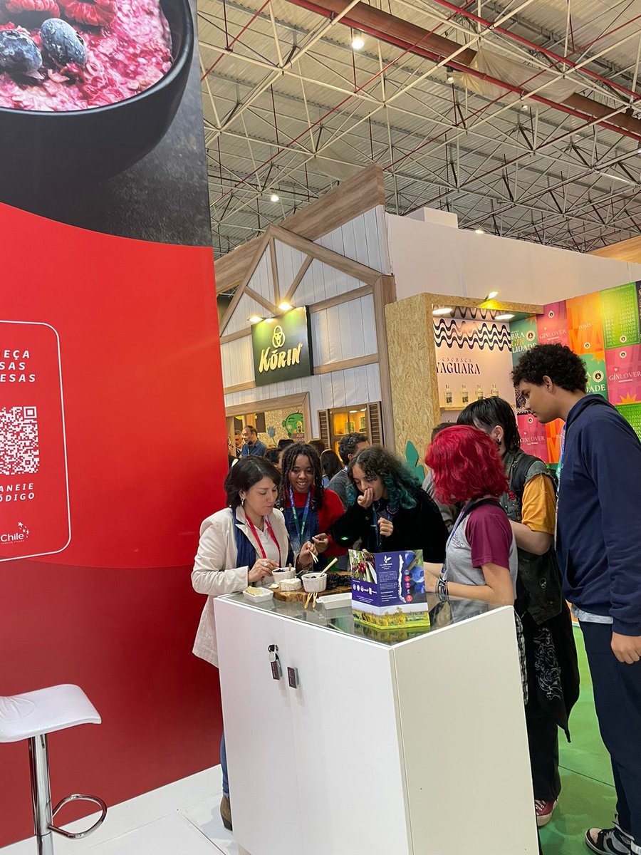 ProChile Brasil tweet media