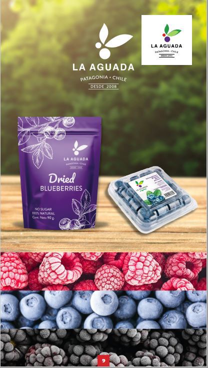 ProChile Brasil tweet media