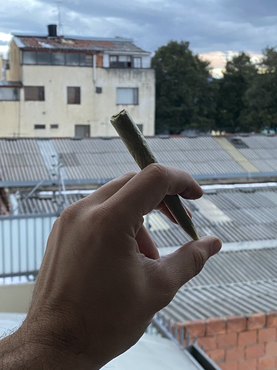 Educanna tweet media