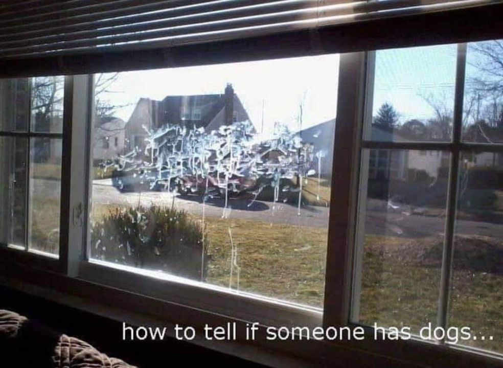 Shannon Berlen (@shanamd) on Twitter photo 