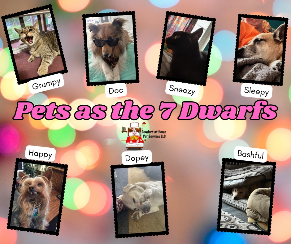 Look how cute! Some of our clients as the 7 Dwarfs.  Which dwarf would your pet be? Show us a picture of your pet as one of the 7 Dwarfs. 

#professionalpetcarespecialist #hirearealpetsitter #professionalpetsitter #pittsburghpetsitter #pittsburghpets #funnypetmemes #7Dwarfs