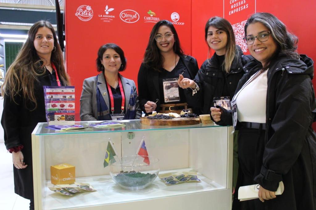 ProChile Brasil tweet media