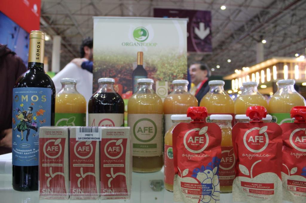 ProChile Brasil tweet media