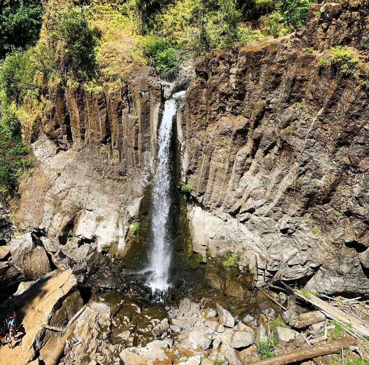 Beautiful Oregon tweet media