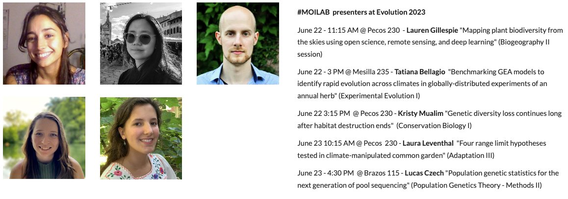 MExpositoAlonso's tweet image. The #MOILAB will be at #evolution2023 presenting in diverse topics: experimental evolution and popgen, ecology and local adaptation, to conservation biology, and biogeography!
evolutionmeetings.org

@CarnegiePlants
@CarnegieEcolo
@Stanford 
@HHMINEWS 

moilab.science/team
