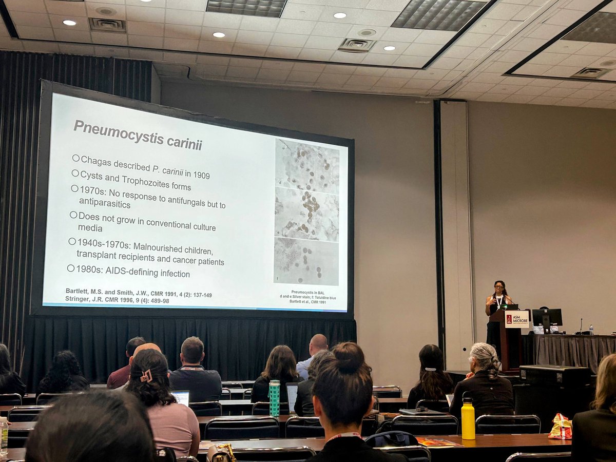 Incredible presentation by Dr. Babady as always! She brilliantly covered the history of Pneumocystis jirovecii (formerly carinii) infections & the latest diagnostic algorithms for this complex pathogen @EBabady @MSKCancerCenter @ASMicrobiology #Impressive #CuttingEdge #clinmicro