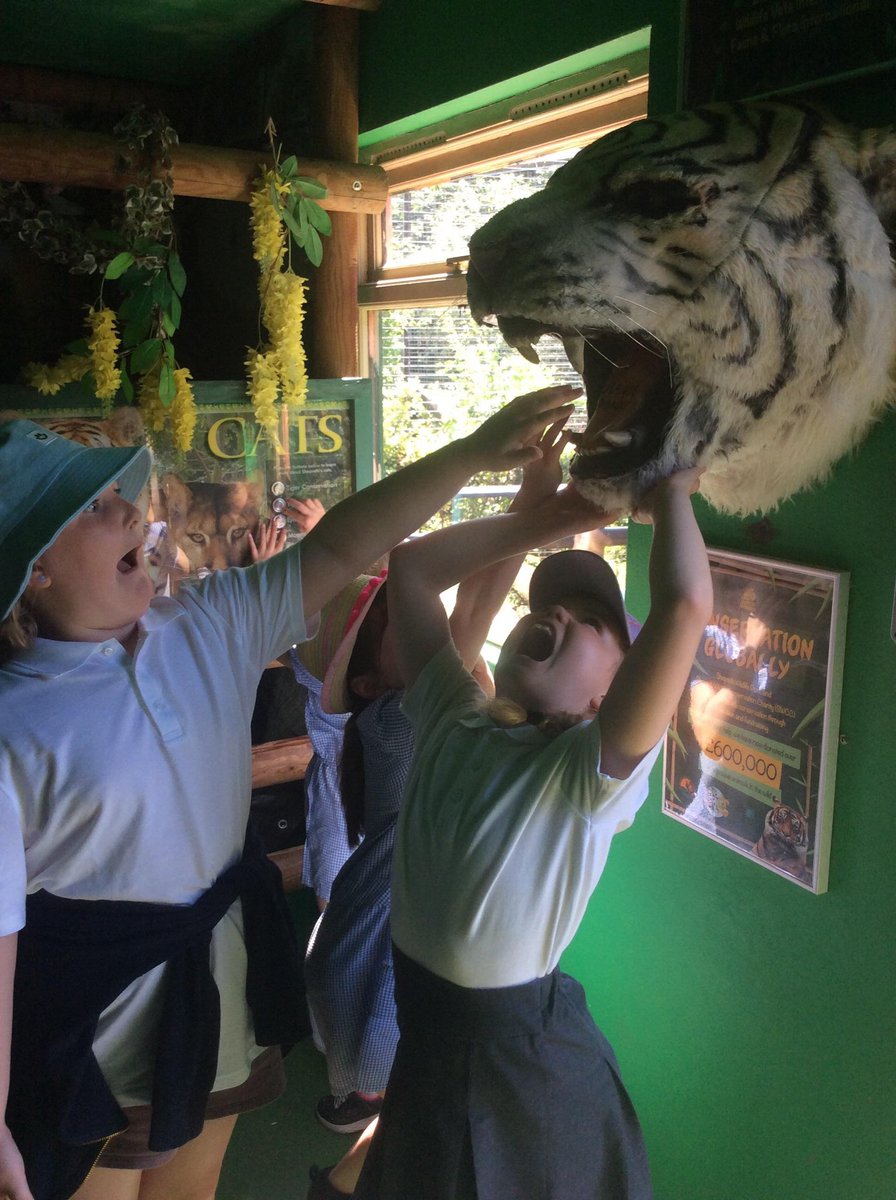 GCA_learning's tweet photo. Year 3 enjoyed a sunny day at @SheprethWPark earlier this week. They loved their workshop and seeing all of the animals. The children represented the school brilliantly. #GCAscience #GCAexperiences #GCAvalues https://t.co/OvNEe1nKSH