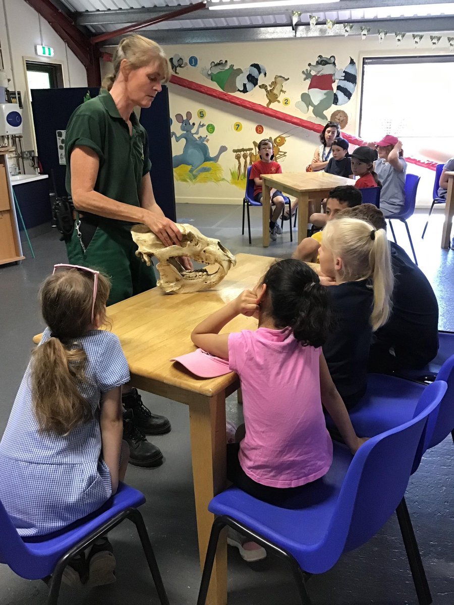 GCA_learning's tweet photo. Year 3 enjoyed a sunny day at @SheprethWPark earlier this week. They loved their workshop and seeing all of the animals. The children represented the school brilliantly. #GCAscience #GCAexperiences #GCAvalues https://t.co/OvNEe1nKSH