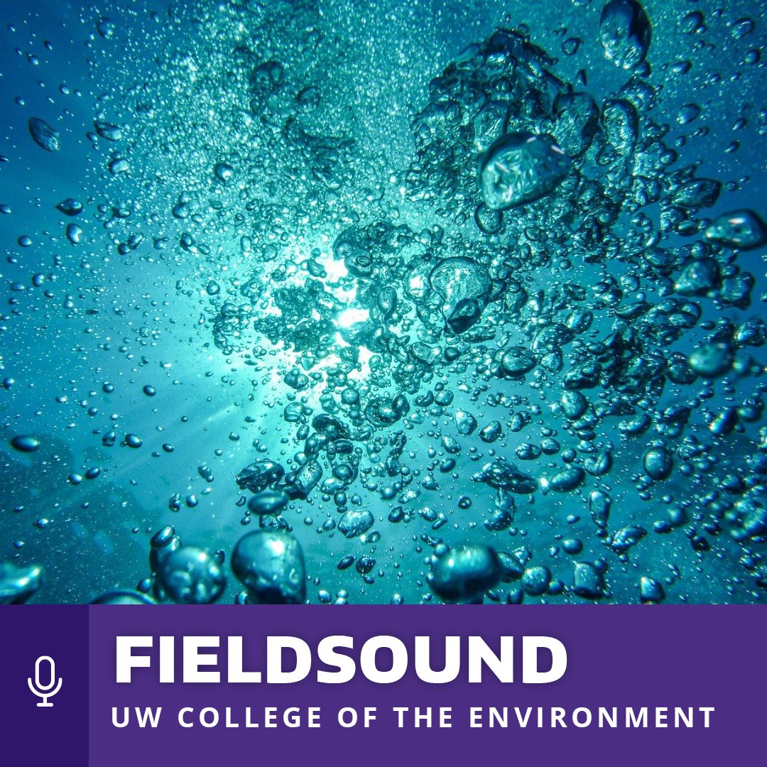 UW College of the Environment tweet media