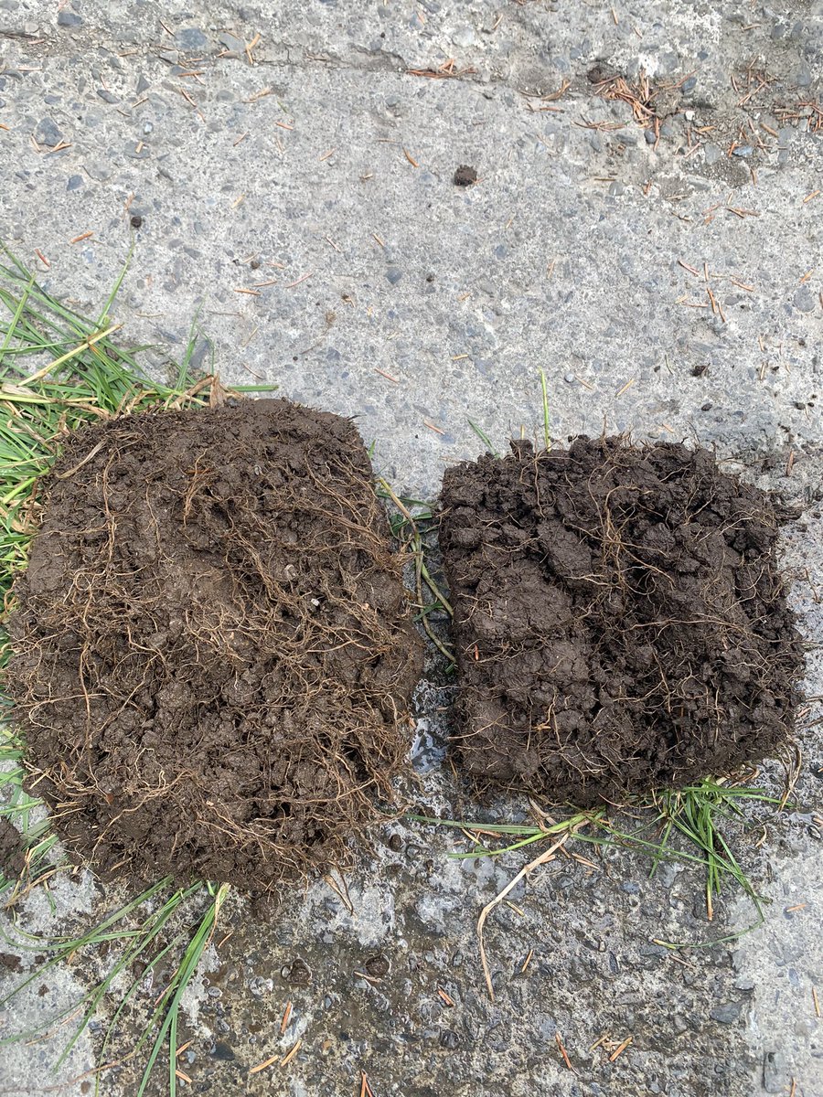 SoilIreland's tweet photo. Sobac working well on grassland.
Helping to improve soil structure and recover after drought.
#sobac #soilhealth
Left has Bacteriosol for two years 30% less N.
Right is conventional system. https://t.co/IrWyWQUjXe