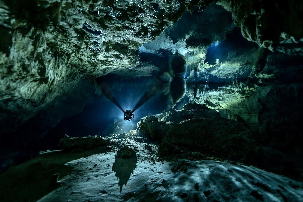 DiveXtras's tweet photo. Do the caverns call to you?

🤿: @ miguebenedicti on Instagram
📷: @ valeoceano_liquidjungle &amp; @ liquidjunglemedia on Instagram

#divextras #dpvdiving #techdiving #technicaldiving #cavediving #ccrdiving #rebreather #scuba #scubadiving #scubadiver #scubaworld #divelife #diveworld https://t.co/VR3LyOcaAg