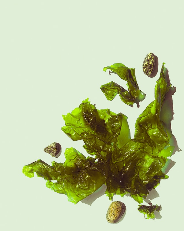 Did you know #seaweed can be used to make #biomaterials like clothes, #bioplastics and biofuels? 

Here are some companies turning seaweed into biomaterials: linkedin.com/company/704590…