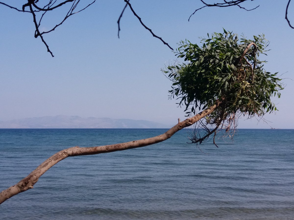sadikak54's tweet photo. Datça 06.23 https://t.co/d8O5gCWQ1u