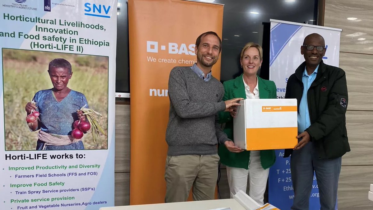 Thank you BASF for helping farmers in East #Amhara receive high-quality seedlings to produce 15 million kg of onions! Until a stronger connection is built between diaspora organizations, supporting European based projects are the next best step! #Netherlands