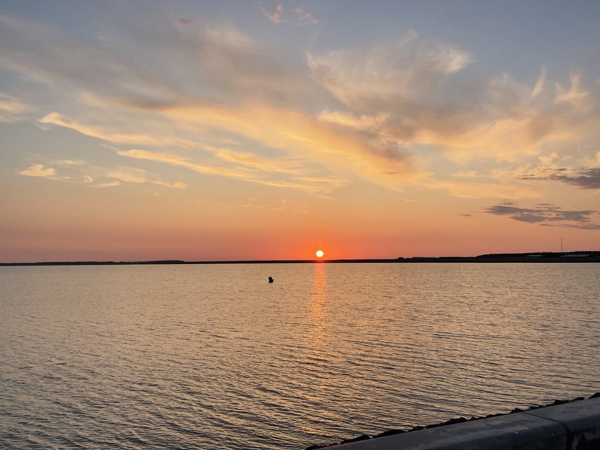 Wadden pracht 🤩 #waddenzee #ameland