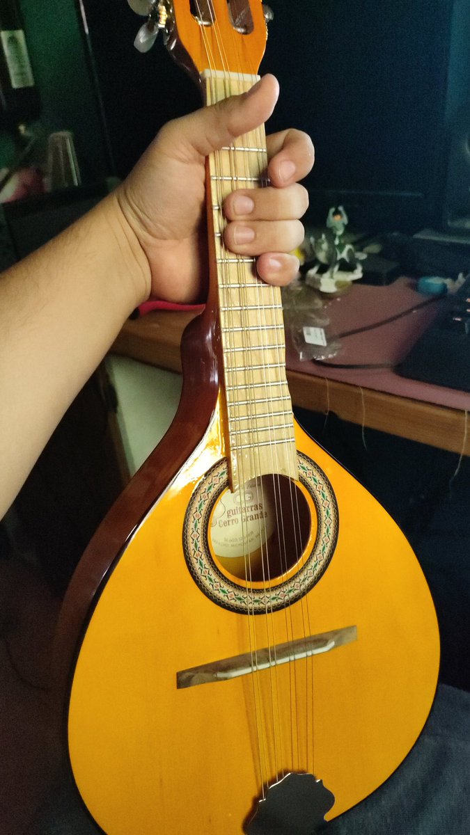 I bought a Mandolin, now I have to practice.
Any ideas?
I was thinking about Dragon Roost Island from Zelda: The Wind Waker.
Also some Italian tarantellas and Celtic/Irish music. It was made in Paracho, Michoacán, a place very well known for their wooden instruments made by hand!
