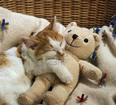 cuties :3