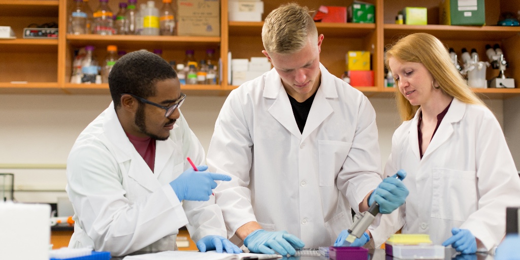 Discover a world of endless possibilities with our programs. From innovative courses to hands-on experiences, we offer a transformative Higher Christian Education that will shape your future. 🌟
Explore our wide range of undergraduate options at bit.ly/3Y5K81n