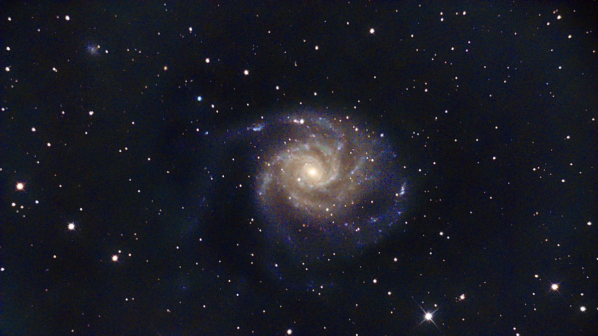 Primera foto procesada. M101. 14/6/23.
<a href="/ochopanteras/">MaríaFernándezIllustration</a> <a href="/Astrocordoba/">Astrocórdoba</a> <a href="/astrosevilla/">astrosevilla</a>