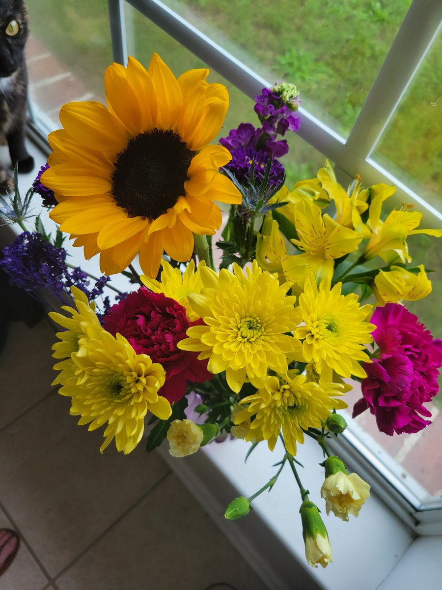 BraisleeAdams on Twitter "Thank you Shift for buying me flowers 🥰 the