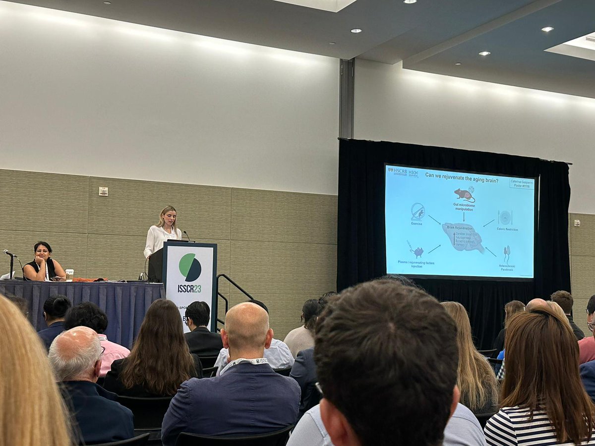 CateGaspe's tweet photo. Thanks a lot @isscr for selecting my abstract for a poster teaser presentation. Such a great opportunity to present my new project on gut microbiome and brain aging! Lots of positive feedback and exciting discussions with many scientists from all over the world!! @LeeRubinLab https://t.co/eAp8WihNak
