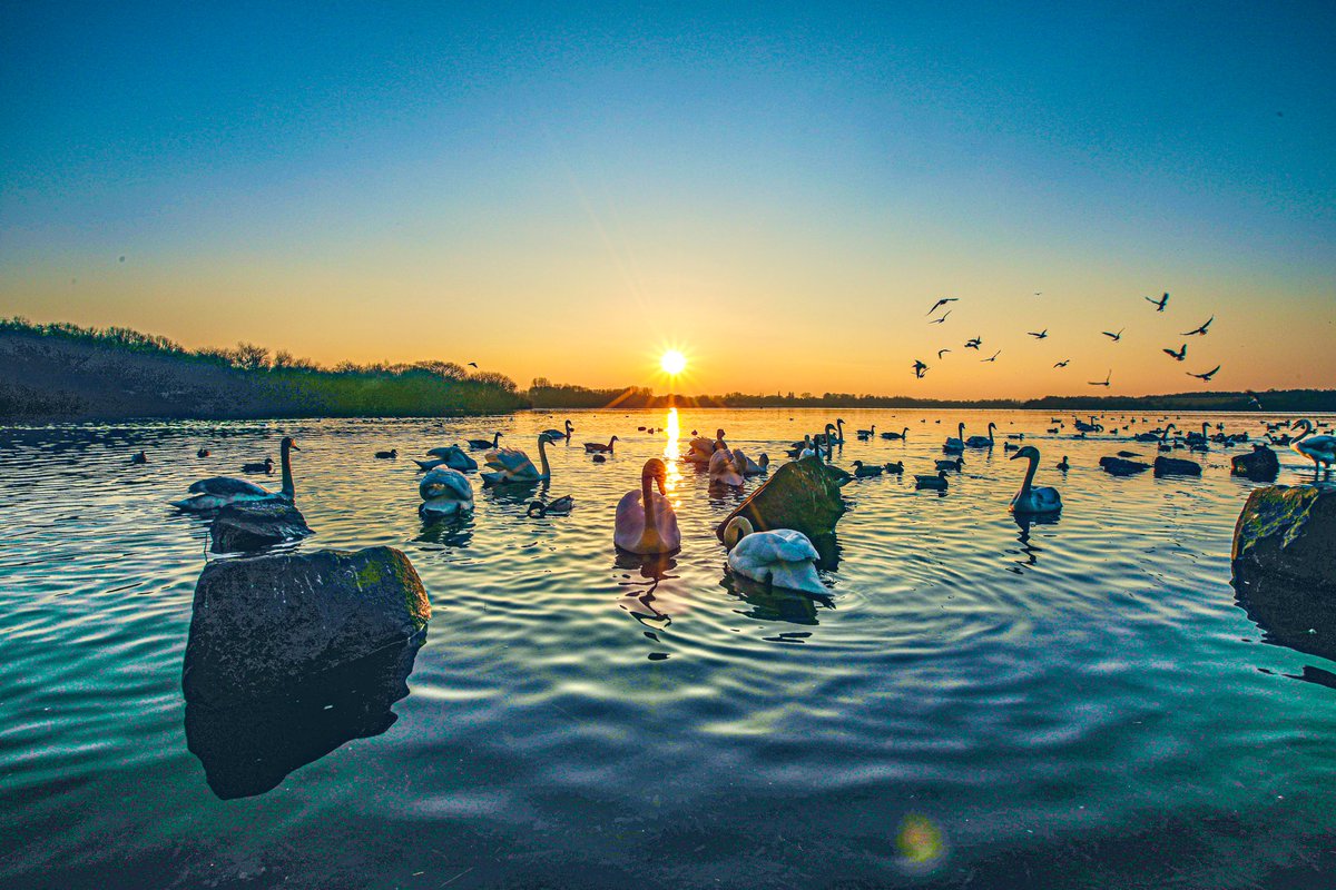 We all love to see a Sunset/Sunrise, here we have a shot of #penningtonflash nature reserve Wigan UK 🇬🇧. feel free to join my post below share away